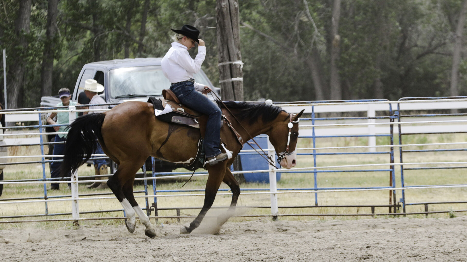 PHOTOS: 4-H Horse Show 2020